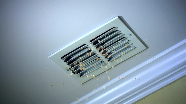 Best Affordable Duct Cleaning Services  in Lilburn, GA